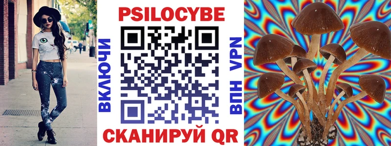 хочу наркоту  Чаплыгин  Галлюциногенные грибы Psilocybe 